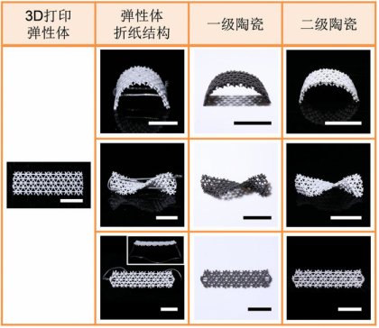 ƌW(xu)״Ό(sh)F(xin)մ4Dӡ