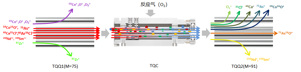 譜育科技