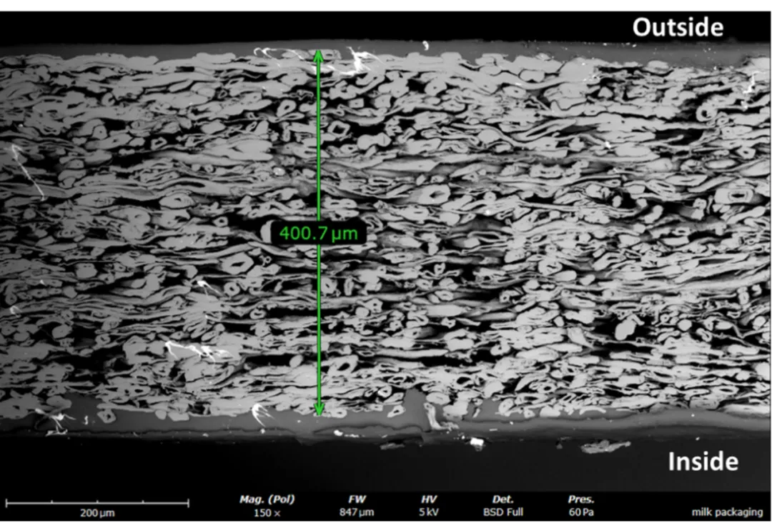 圖3冷藏牛奶包裝紙盒的截面掃描電鏡圖