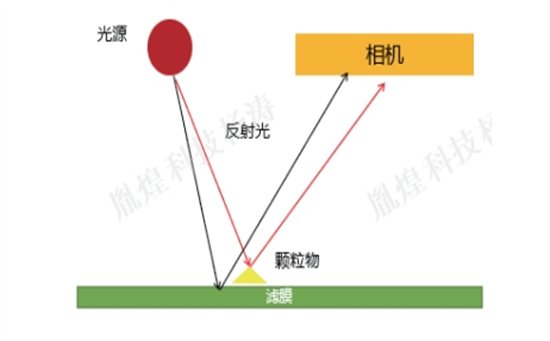 顯微計數法.jpg